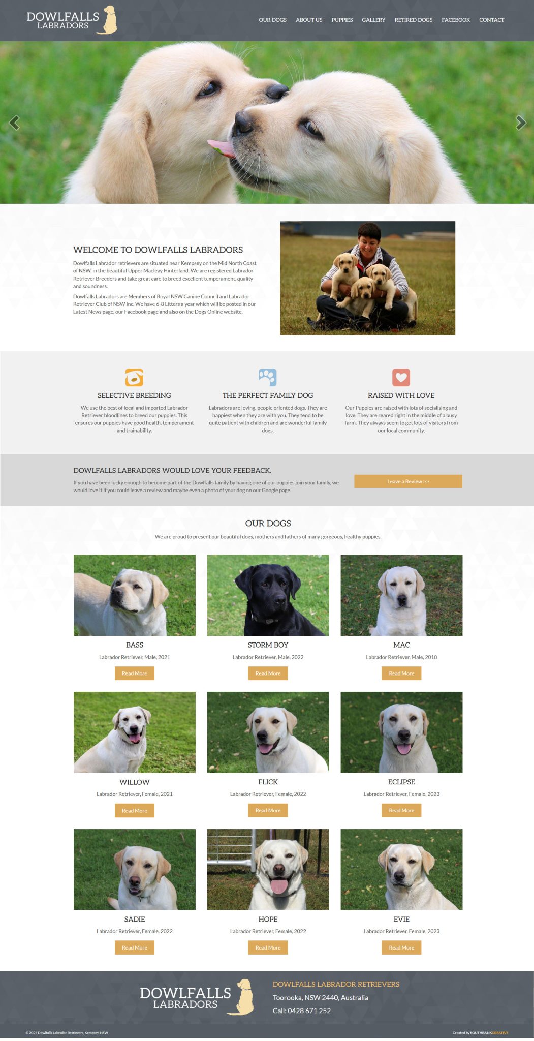 Dowlfalls-labradors